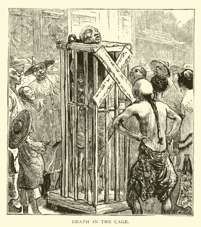 Death in the cage by American School
