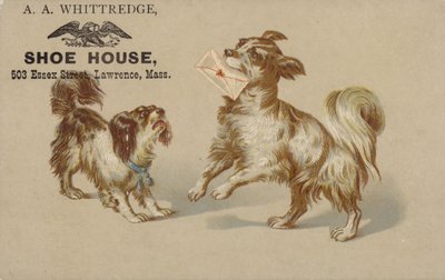 Dog Holding Letter in Mouth by American School