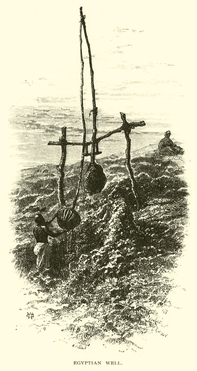 Egyptian Well by American School