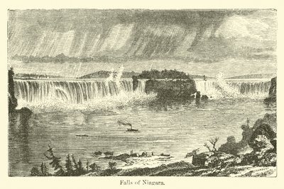 Falls of Niagara by American School