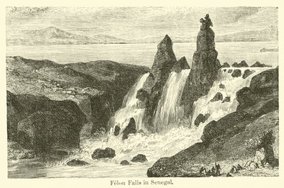 Felon Falls in Senegal by American School
