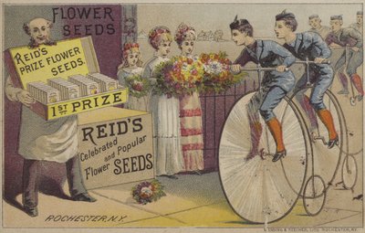 Flower seeds by American School