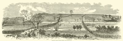 Franklin