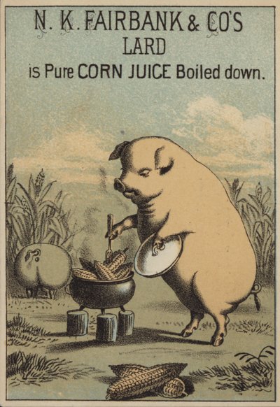Hog Cooking Corn to Make Lard by American School