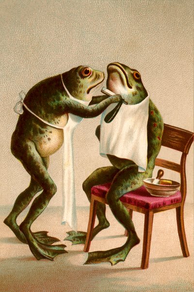 Humorous Illustration of a Frog Getting a Shave by American School