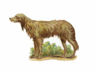 Irish Wolfhound Dog by American School
