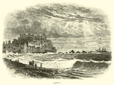 Jaffa by American School