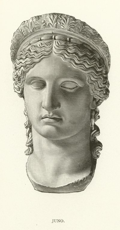 Juno by American School