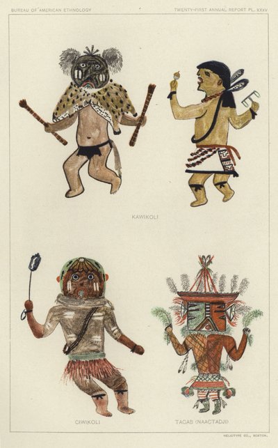 Kawikoli, Ciwikoli, Tacab (Naactadji) by American School