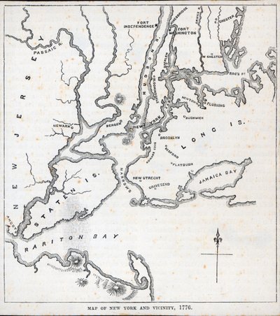 Map of New York and the Vicinity by American School