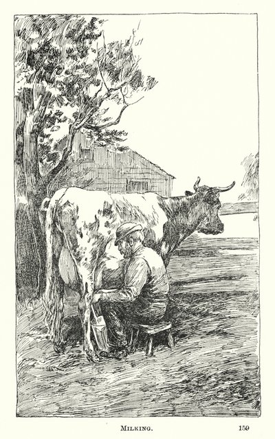 Milking by American School