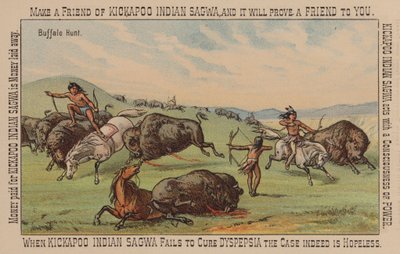 Native American Hunting Buffalo by American School