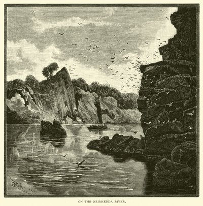 On the Neirhedda River by American School