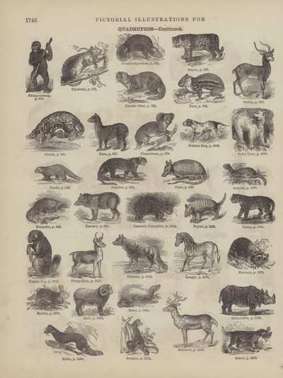 Page from Webster