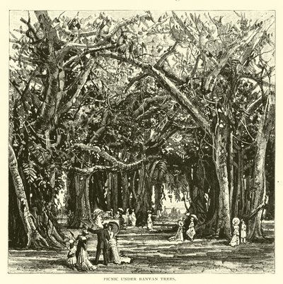 Picnic Under Banyan Trees by American School