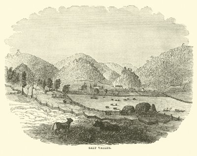 Salt Valley, December 1864 by American School