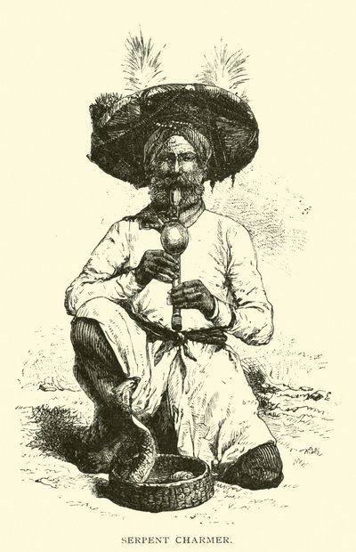 Serpent Charmer by American School