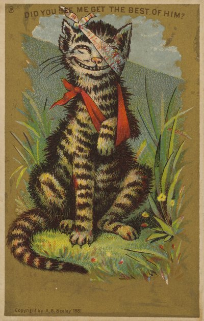 Smirking Cat with Injuries by American School