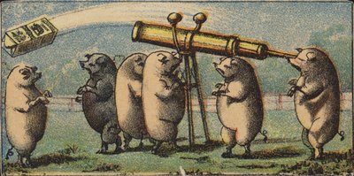 Stargazing Hogs by American School