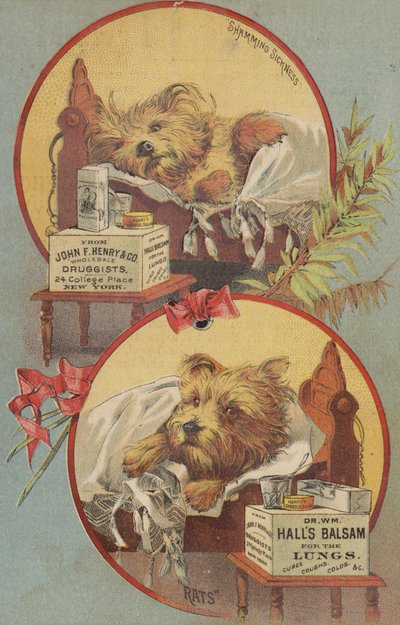 Terrier Dog in Bed by American School