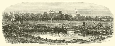 The Wheat-field where Reynolds fell, July 1863 by American School