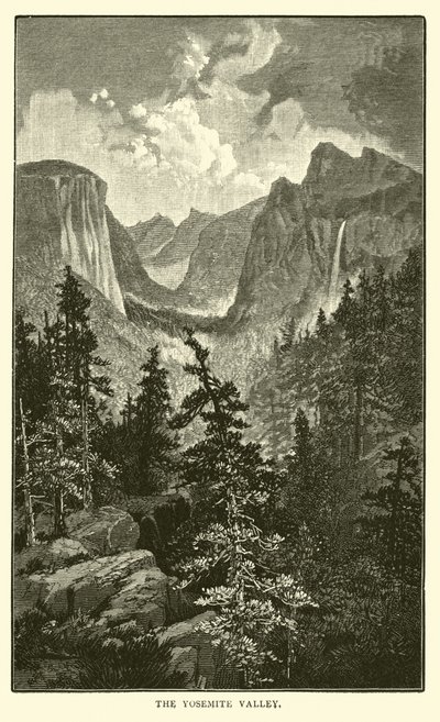 The Yosemite Valley by American School