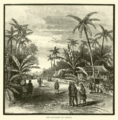 The Environs of Saigon by American School