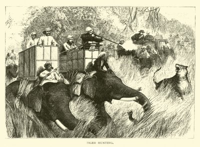 Tiger Hunting by American School