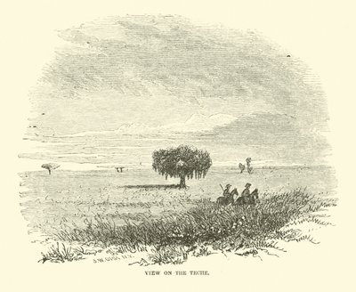 View on the Teche by American School