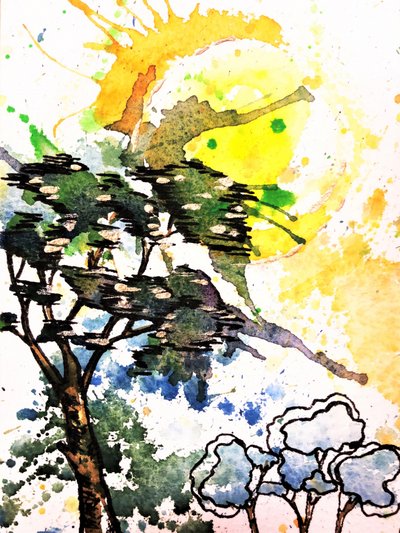 Abstract Sunlit Trees by Anda Bieza