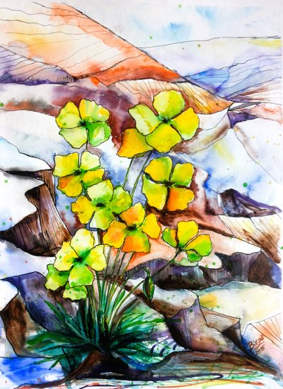 Vibrant Mountain Flowers by Anda Bieza
