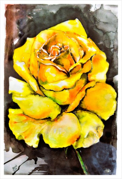 Vibrant Yellow Rose by Anda Bieza