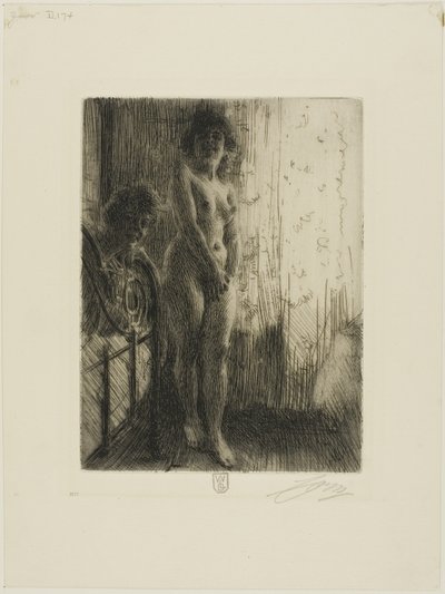 A Dark Corner by Anders Leonard Zorn