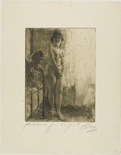 A Dark Corner by Anders Leonard Zorn