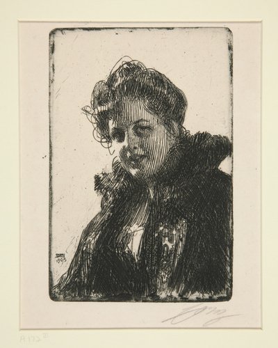 Mrs. Granberg by Anders Zorn