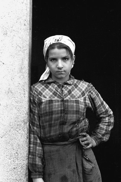 Adolescent Child Olive Picker by Ando Gilardi