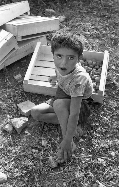Bitter Grapes - Child at Work by Ando Gilardi