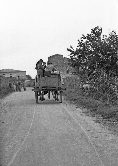 Bitter Grapes - Going to and Back from Work by Ando Gilardi