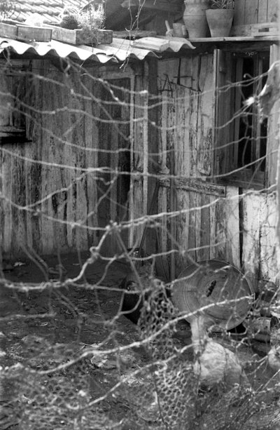 Crotone - In the Shacks with the Chickens by Ando Gilardi