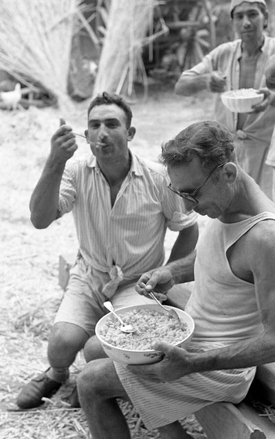 Hemp Processing, Recharging Energy by Ando Gilardi