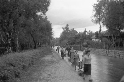 Olive Pickers by Ando Gilardi