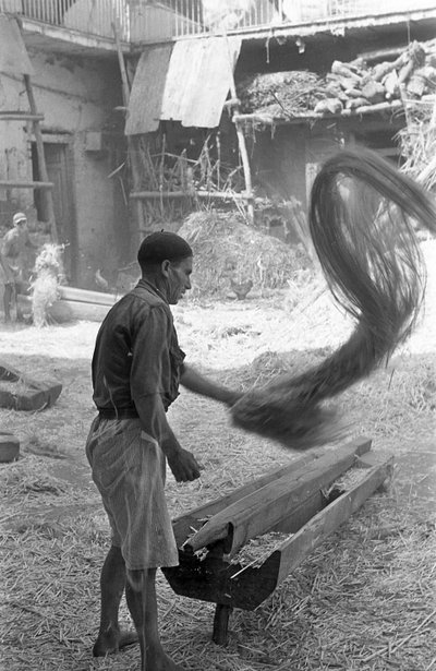 Processing of Hemp, Elimination of Slag by Ando Gilardi