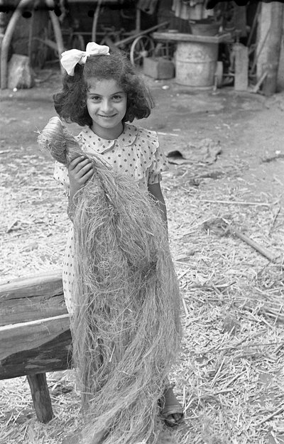 Working of Hemp, Little Girl with Bundle of Fibers by Ando Gilardi