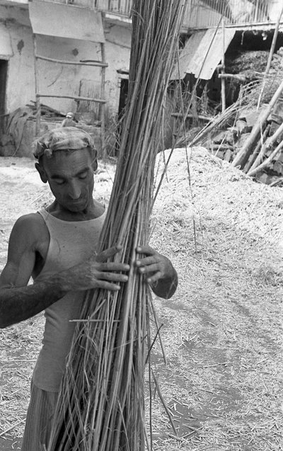 Working of Hemp, the Woody Cannulas by Ando Gilardi