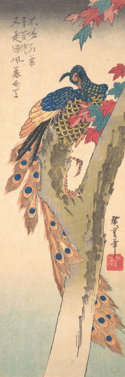 A Peacock Perched on a Maple Tree by Ando Hiroshige