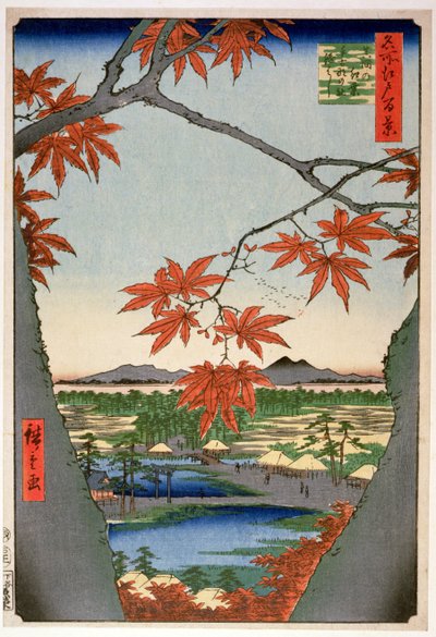 Maples at Mama, from the Series 
