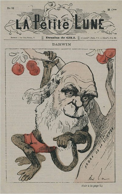 Darwin as Monkey on La Petite Lune by Andre Gill