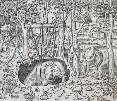 Elephant Hunting on Island of Java, from Universal Cosmology by Andre Thevet