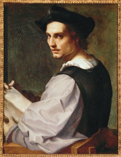 Portrait of a Young Man by Andrea del Sarto