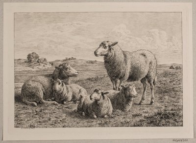 Sheep and lambs in the field by Andreas Peter Madsen